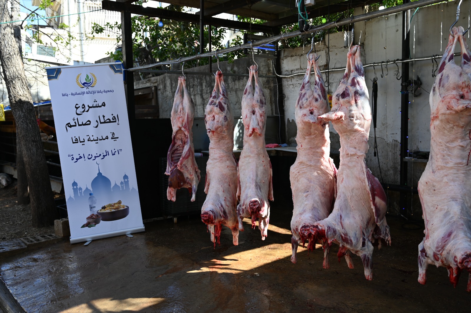 WhatsApp Image 2022-04-15 at 5.23.01 PM (2).jpeg